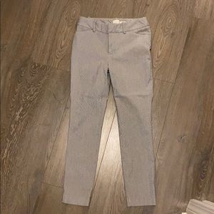 Pin Stripe Capri Pants- Stretch fit